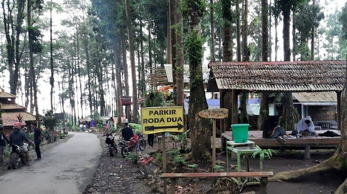 Hutan Pinus Siti Sundari